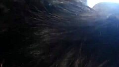 amateur car video timestamp