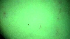 Monica Frazier bent over in doggystyle position getting her pussy fucked hard by a guy