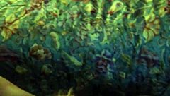 Deep throat creampie oral with my hijastro's cock 😈