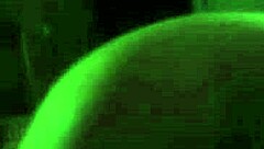 Intense Emotions Surge During Passionate Blowjob With Latina Teen 18+ Brunette Fling