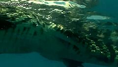 i love my croc bikini, feeling so sexy and free