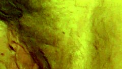 My Dear Wife Reveals Her Pussy in a Bold and Intimate Display of Desire and Passion.