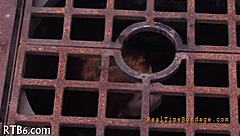 femdom control over me hurts good