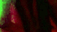 Passionate Colombian Blowjob Before Riding