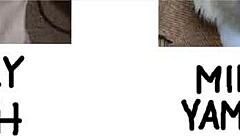 The Story of the Twin Towers