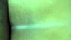 In the casual tale of backseat adventures, friends share buckshots from their road trip