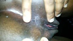 Meu Primeiro Caseiro