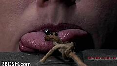 sadomasochism whipping tube explores intense sessions with raw power dynamics.