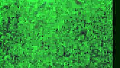 Is That Slut Wife Terrah Taking on a Big White Dick? Watch Her Moan!