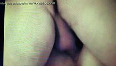 i watch moni getting fucked in amateur style