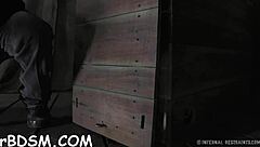 does this muzzled brunette babe need hardcore taming?