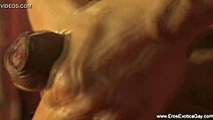 gay lovers participate in intense workout exercises together