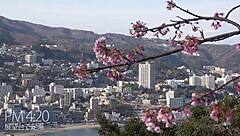 in this amateur video, an asian babe with small tits shows off her body and plays with toys.