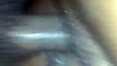 Date Recorded on 2016-04-20