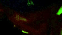 she's a good little 18+ slut getting fucked!