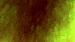 Horny Girl Receives Passionate Pussy Licking and Muff Diving Action