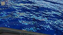 Harem hotel episode 153