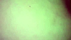 Petite babe fucking her soaking wet tight pussy with toy