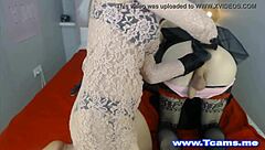 hot shemales teasing with holes and cocks