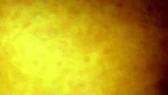 wife uses oral dildo and vibrator for personal pleasure