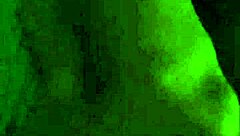 check out this intense blowjob scene