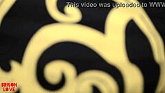 Shy But Bad And Boogie