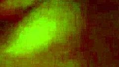 Jenaveve jolie in top performance