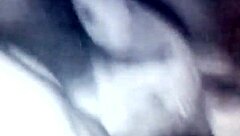 Does the chibolo enjoy oral sex in this gay orgy?