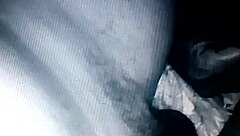 Does the chibolo enjoy oral sex in this gay orgy?