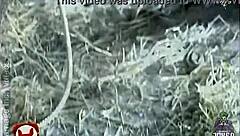 jesica cirio revista h 1 remasterizado