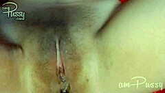 Amateur girl masturbates in lingerie