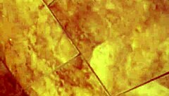 i piss in my underwear and pour blue soap on his cock