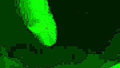 Amateur chubby guy gets a BJ and fingered in homemade video