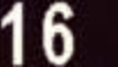 Welche Geheimnisse verbergen Hausnutten?