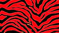 Who wants to be my new sugar daddy? 😏