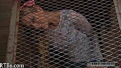 Beautiful woman receives teasing oral pleasure in a specific manner