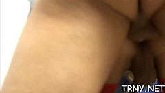 Intense Emotional Journey In Shemale Blowjob Hardcore Scenes.