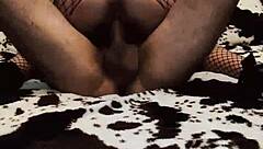 hot milf couple doing amateur anal sex and assfucking at home 😏