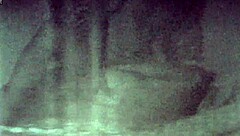 These Two Kiss And Have Hot Sex