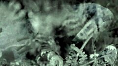 Nineteenth Century Vintage Pornography!