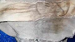 Neighbor's dirty panties