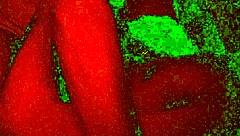 i fucked my couple rough, face fucking with natural tits in bad light