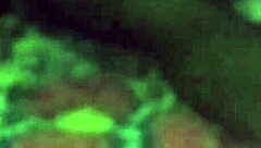 Indian couple intimate moment