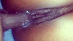 she screams as i bury my cock deep in her