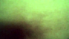 I can’t stop going mouth to ass and back again.