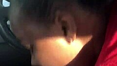 Rat bitch sucking dick