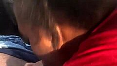 Rat bitch sucking dick