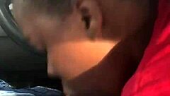 Rat bitch sucking dick