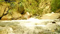 Waiting for alpha male?