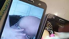 nuevo tributo para la pepina chilena